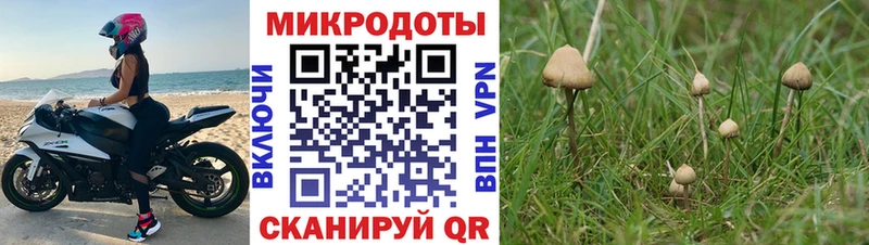 даркнет сайт  Ессентуки  Псилоцибиновые грибы GOLDEN TEACHER 